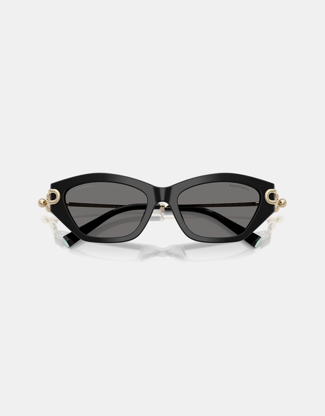Tiffany & Co. - TF4231U