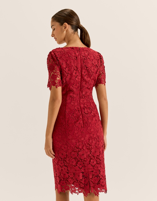 Review - Admire Lace Dress