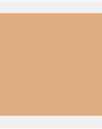 Giorgio Armani - Luminous Silk Foundation 5.2