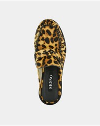 Senso - Charlotte IV