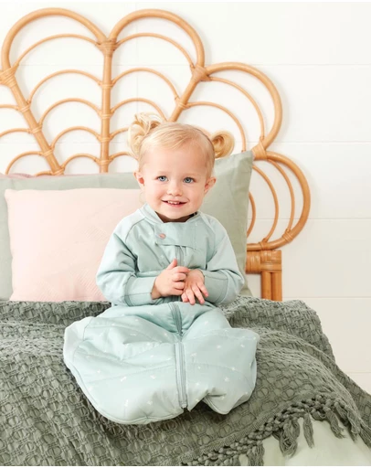 ergoPouch - Sleep Suit Bag 2.5 TOG