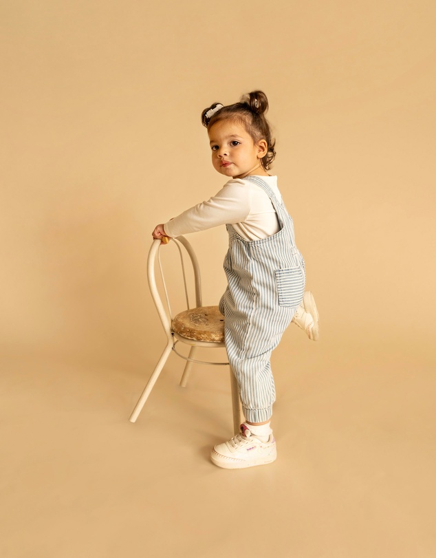Fox & Finch - Winter Vacay Stripe Denim Overalls