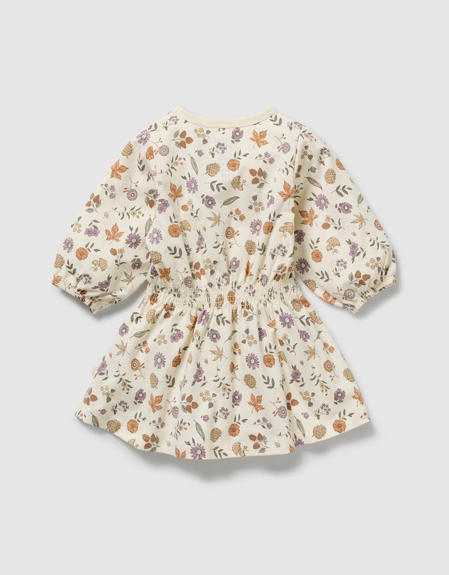 Wilson & Frenchy - Organic Dress - Babies
