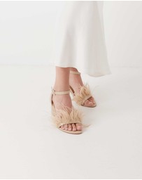Chaos & Harmony - Chichi Heel