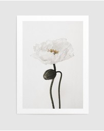 Olive et Oriel - White Poppy I Art Print