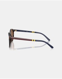 Polo Ralph Lauren - 0PH4236