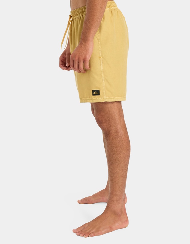 Quiksilver - Mens Everyday Volley 17