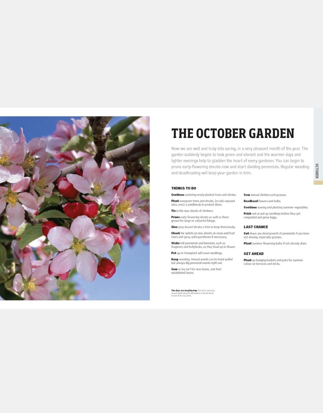 Brumby Sunstate - Gardening Through the Year in Australia