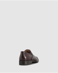 Brando - Morris Lace Ups