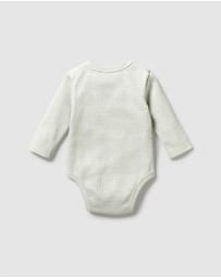 Wilson & Frenchy - Organic Stripe Rib Long Sleeve Bodysuit - Babies