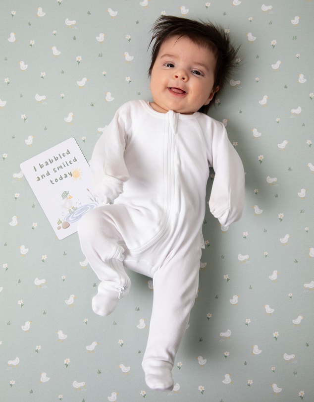 Living Textiles - 2 Pack Organic Cot Fitted Sheet - Goosey Goosey