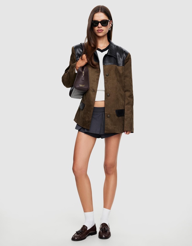 Lioness - Constance Blazer