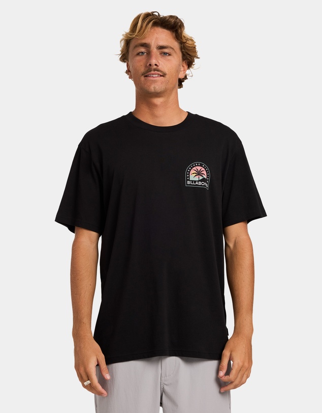 Billabong - Mens Sun Down Adiv Premium T-Shirt