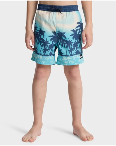 Quiksilver - Boys 8 to 16 Everyday Printed 14