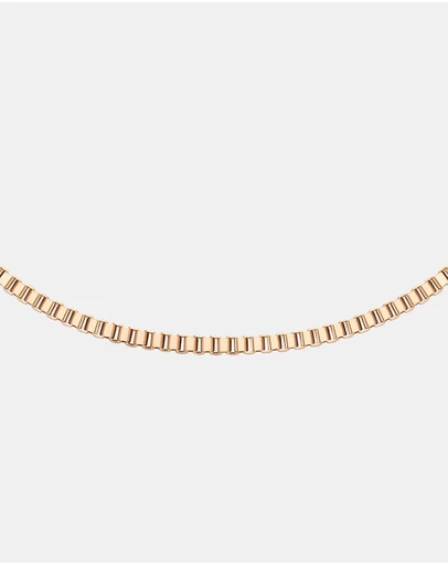 Daniel Wellington - Elan Box Chain Necklace Long