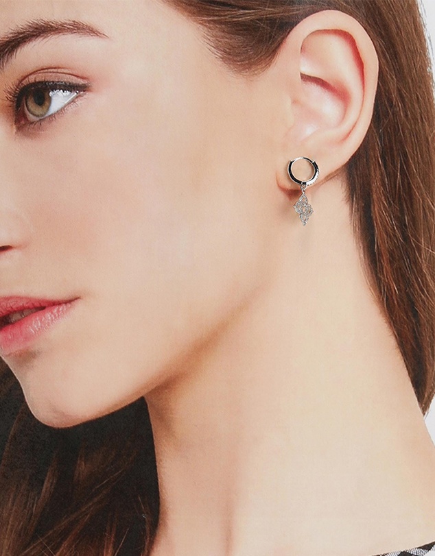 ALDO - Elisabeth Multipack Earrings