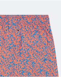 Tom & Teddy - Coral Swim Shorts