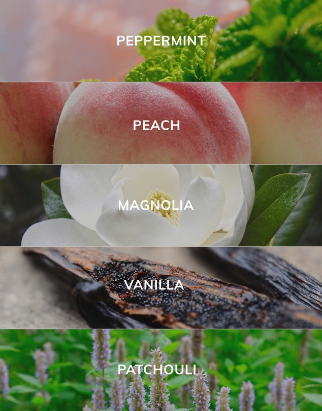 Caitlin Louise Collection - Magnolia and Velvet Peach Artist Room Spray
