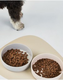 Lilly + Dash - Cat Eat and Drink Set – 2 Bowls + Lick Insert + Slate Placemat