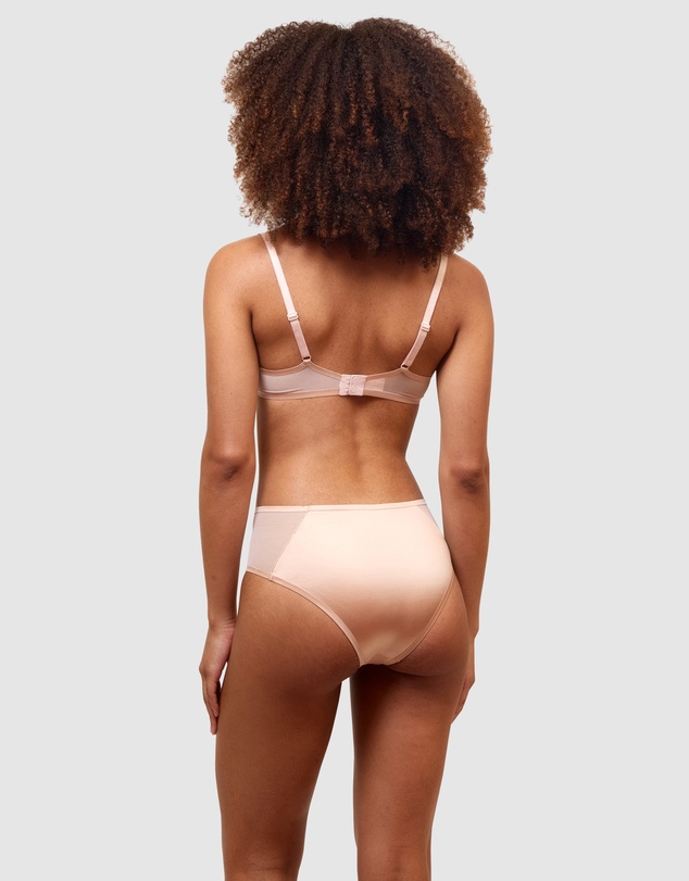Passionata - Bianca Shiny Microfibre & Tulle High Waist Brief