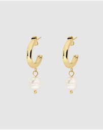 Pastiche - Molly Hoops