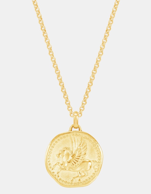 Dower & Hall - Men's 'Overcome and Thrive' Pegasus Talisman Necklace In Gold Vermeil