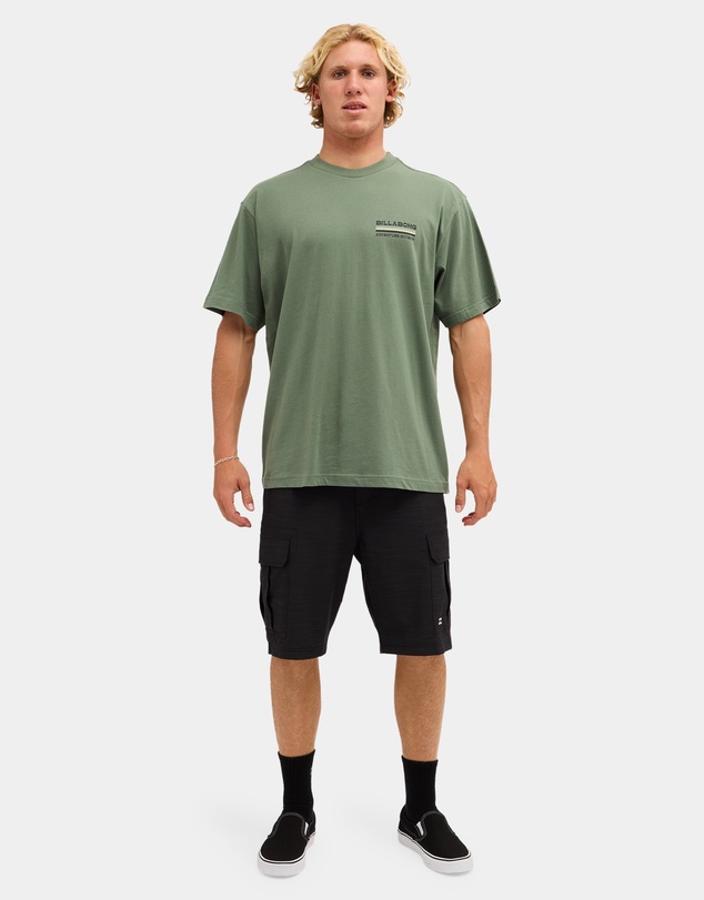 Billabong - Mens State Park Adiv Premium T-Shirt