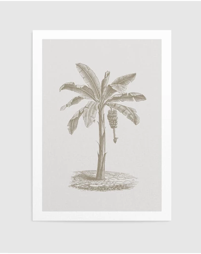 Olive et Oriel - Vintage Palm II Art Print