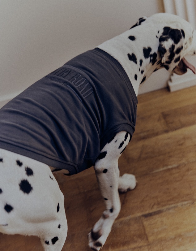 Country Road - Enzo Australian Cotton Heritage Sweat