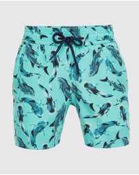 Tolu Australia - Boys Swim Shorts With Whale Sharks