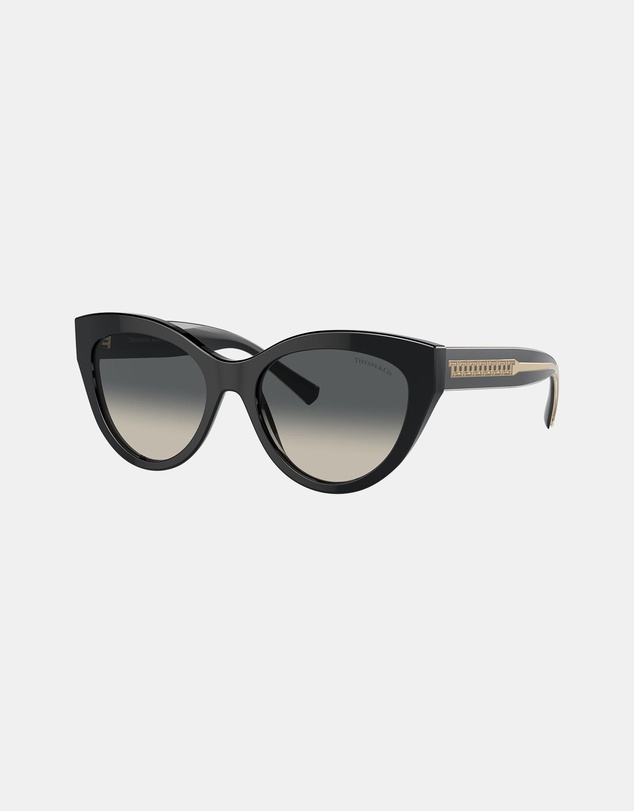 Tiffany & Co. - 0TF4220
