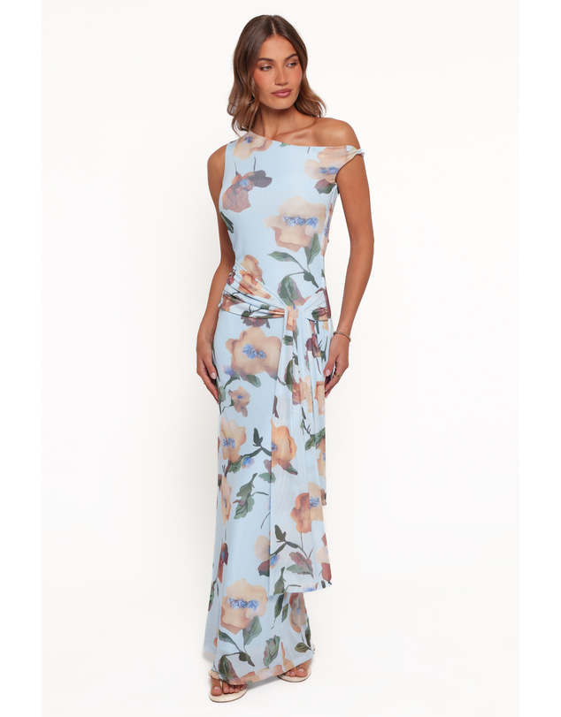 Petal & Pup - Loulani Maxi Dress - Pale Blue Floral