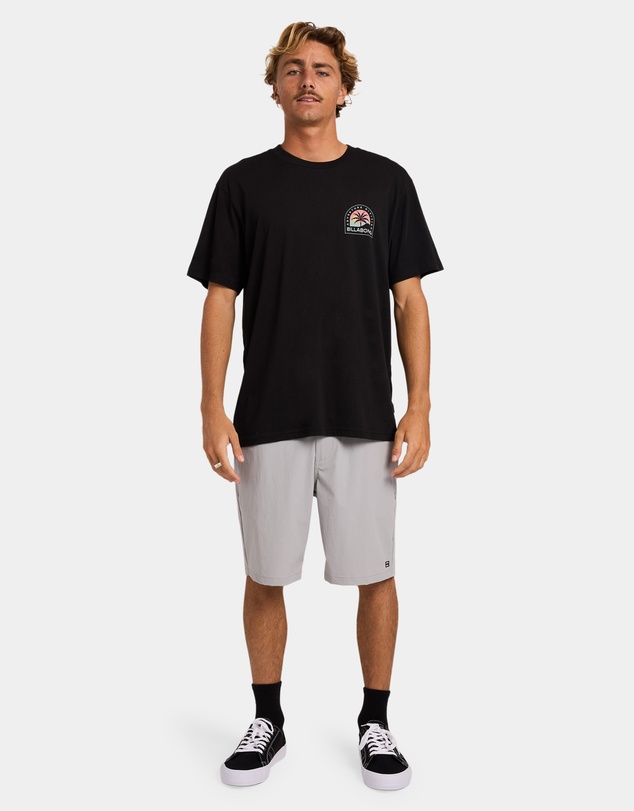 Billabong - Mens Sun Down Adiv Premium T-Shirt