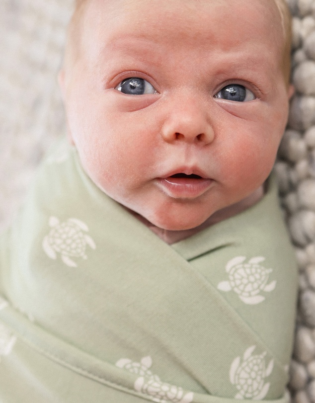 Kynd Baby - Large Stretchy Swaddle in Turtle