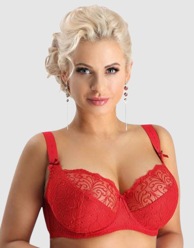 Nessa - Sonata Unlined Embroidered Large Cup Wired Bra