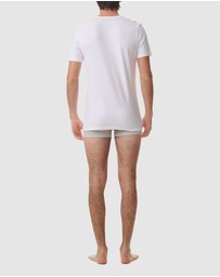 adidas Sportswear - 2 Pack Active Flex Cotton V-Crew Neck T-Shirt