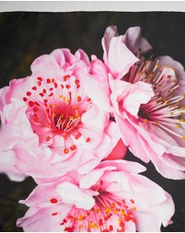 Lindsay Nicholas New York - Sakura Blossom Silk Scarf