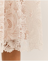 Review - Illusion Lace Midi Dress