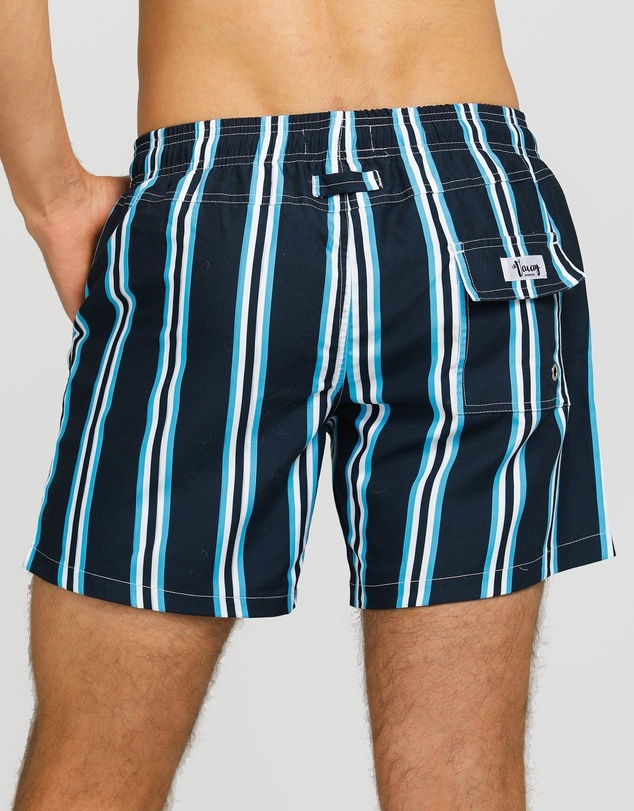 Vacay Swimwear - Nice Swim Shorts