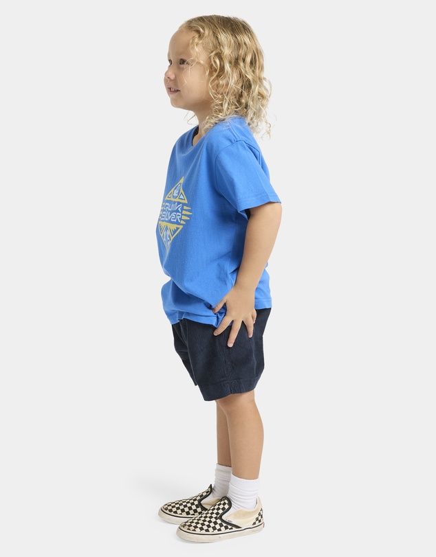 Quiksilver - Boys 2 to 7 Heritage Damon T-Shirt