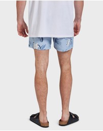 Academy Brand - Huntington Boardy