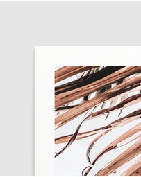 Olive et Oriel - Golden Palm II Art Print
