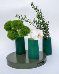 porter green - stegg | silicone unbreakable highball glasses