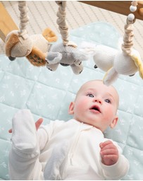 Living Textiles - 2 Pack Stroller Toys - Koala & Cockatoo