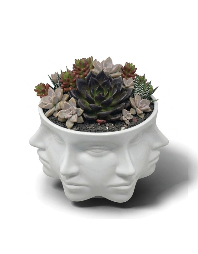 Urban Attitude - Urban Attitude Face Planter - Matte White
