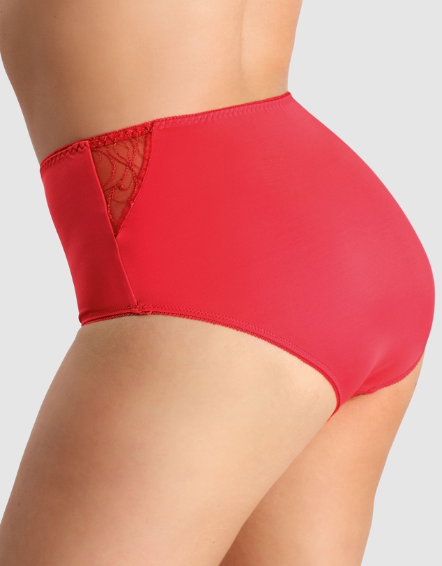 Nessa - Sonata High Waist Full Cut Brief with Embroidery