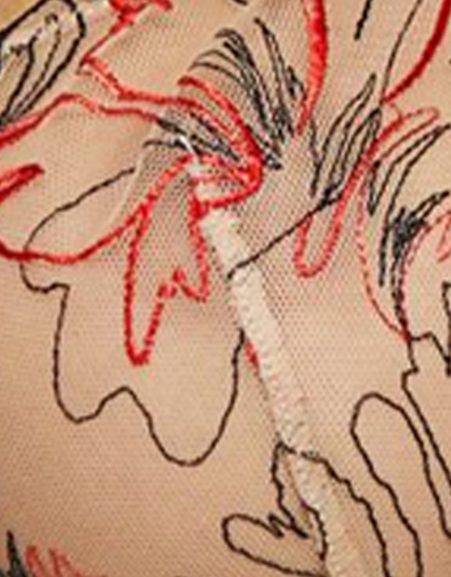 Sans Complexe - Alberta Sheer Embroidery Half Cup Wired Bra