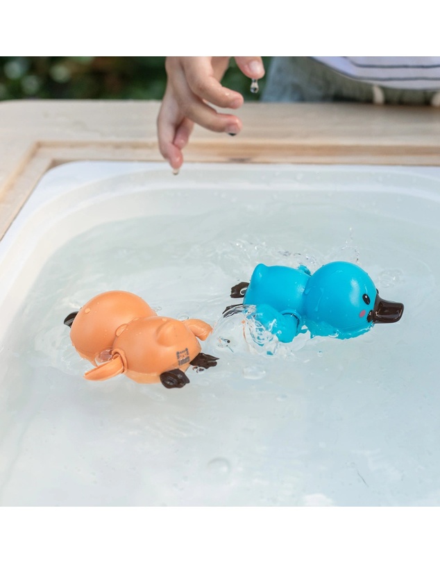 Tiger Tribe - Bath Racers - Platypuses