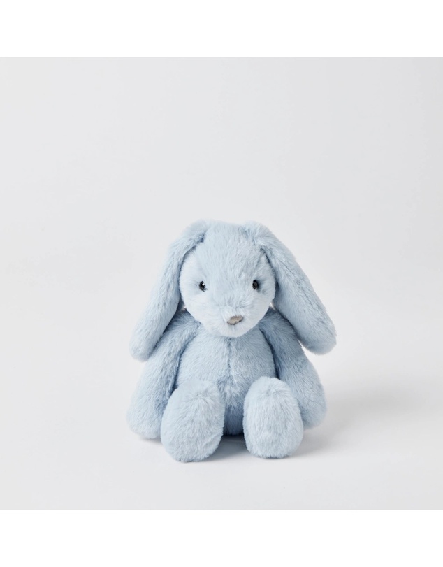 Jiggle and Giggle - Blue Bunny Small