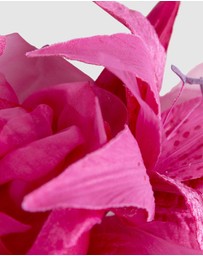Max Alexander - Large Fuchsia Flower Headband Fascinator